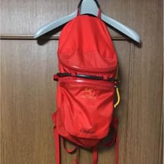 sggggg様専用    アークテリクス リュックのサムネイル