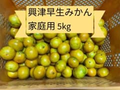 静岡県産 興津早生みかん 5kg 家庭用・減農薬のサムネイル
