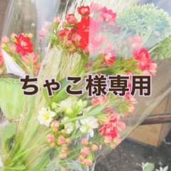 【新品・未使用】ラルフローレン　レッグウォーマーのサムネイル
