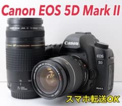 S数約28000回！Canon EOS 5D Mark Ⅱ★転送OK★フルサイズ S数約28000回！Canon EOS 5D Mark Ⅱ☆転送OK☆フルサイズ - メルカリ