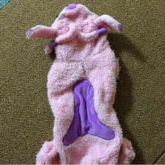 ワンちゃん服のサムネイル