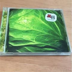 ドリーム.カム.トゥルー /何度でものサムネイル