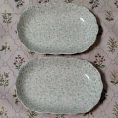 Teien FINE CHINA 楕円形 花柄 オーバル皿 陶器 2枚セット - メルカリ