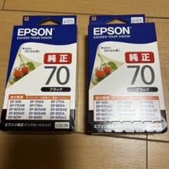 EPSON ICBK70のサムネイル