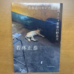 表参道のセレブ犬とカバーニャ要塞の野良犬のサムネイル