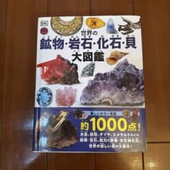 世界の鉱物・岩石・化石・貝大図鑑のサムネイル