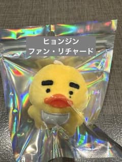 straykidsスキズヒョンジン 7cmぬいぐるみ ファン・リチャード - メルカリ