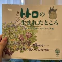トトロの生まれたところ 宮崎駿 スタジオジブリのサムネイル
