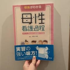 根拠がわかる母性看護過程 事例で学ぶウェルネス志向型ケア計画のサムネイル