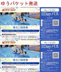 2枚 東京サマーランド 株主ご招待券 1DAYパス株主優待券 フリーパスのサムネイル