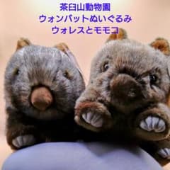 ウォンバット ぬいぐるみセット 茶臼山動物園 - メルカリ