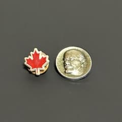 1970年大阪万博 カナダ ソ連レーニン ミニバッジ 2個セット - メルカリ