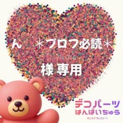 ん ＊プロフ必読＊ 様 専用ページ - メルカリ