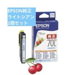 EPSON ICL70L ライトシアン インクカートリッジ 70Lのサムネイル