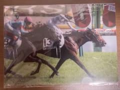 競馬 A5 クリアファイル (ドウデュース,タスティエーラ)のサムネイル