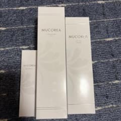 サンベールムコ多糖　ムコレア３点セット(クレンジング　洗顔　BBクリーム) サンベールムコ多糖 ムコレア3点セット(クレンジング 洗顔 BBクリーム