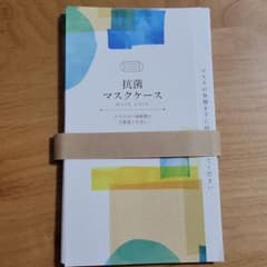 抗菌マスクケース 31枚 結婚式のサムネイル