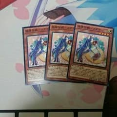 カグヤ 3枚セットのサムネイル