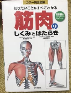 筋肉のしくみとはたらき : 知りたいことがすべてわかる : カラー完全図解のサムネイル