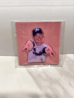 東京ヤクルトスワローズ　丸山選手のサムネイル