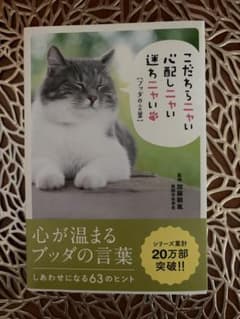 こだわりニャい心配しニャい迷いニャいのサムネイル