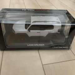 ミ*メ様 トヨタ 新型 ランドクルーザーFJ カラーサンプル プラチナ