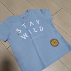 水色 STAY WILD Tシャツ ライオンのサムネイル