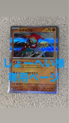 Thumbnail of しょーへい様 専用ページ