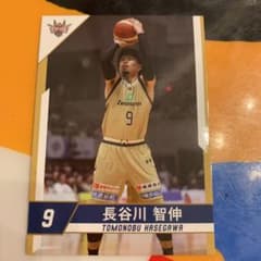 琉球ゴールデンキングスのサムネイル