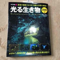 学研の図鑑  LITE  光る生き物  DVD付きのサムネイル