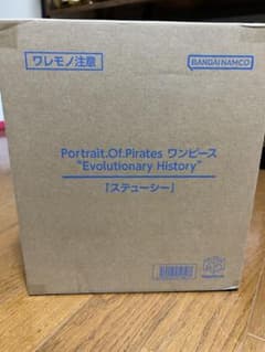 POP 원피스 “Evolutionary History" 스테이시