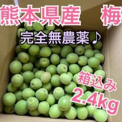 【完全無農薬☆】熊本県産　青梅　梅の実　箱込み2.4キロ　【梅酒にどうぞ♪】のサムネイル