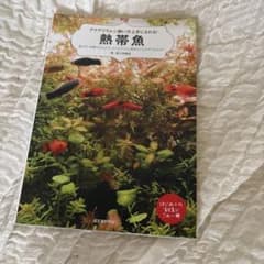 アクアリウム☆飼い方上手になれる！熱帯魚のサムネイル