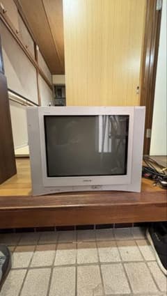 m79720984958_1.jpg?1788783557