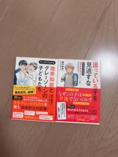 マンガでわかる 境界知能とグレーゾーンの子どもたち 2冊セットのサムネイル