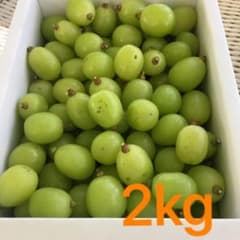 山形県産　シャインマスカット　2kg 訳ありのサムネイル