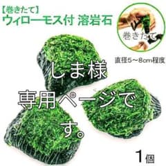 しま様 専用ページです。のサムネイル