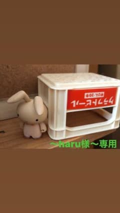 コンブチャンクレンズのサムネイル