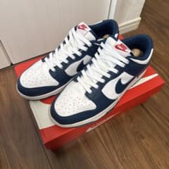【SW特別SALE】 NIKEDUNK LOW RETRO dd1391-400のサムネイル