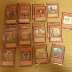 森羅デッキ取り置き中のサムネイル