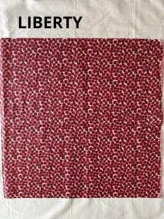CHECK＆ STRIPE LIBERTY ナイロン生地　美品のサムネイル