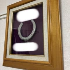 JRA GI 3勝以上 実使用 額装記念蹄鉄 m79738187410_1.jpg?1758801616