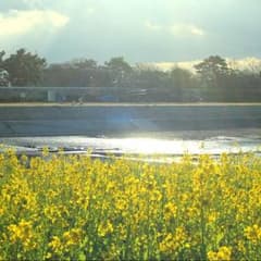きらきらひかる様 専用のサムネイル