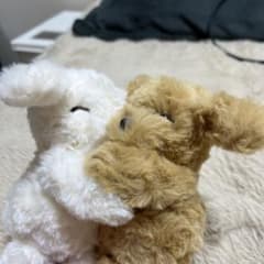 コ*ニ様 McHugs キーホルダー m79742980907_1.jpg?1762150633