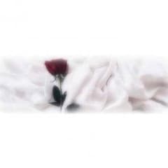 ちさちさ様専用゜:。*のサムネイル