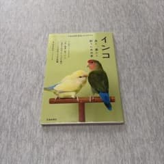 インコ 長く、楽しく飼うための本 池田書店
