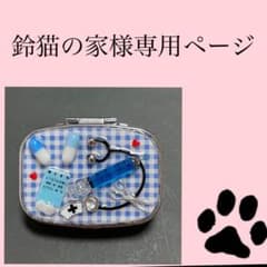おくすり屋さんピルケース　（ギンガムチェックブルー）のサムネイル