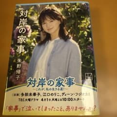 対岸の家事のサムネイル