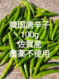 韓国唐辛子100g 佐賀産 農薬不使用 ネコポスのサムネイル