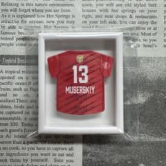 サントリーサンバーズ大阪 シークレットマグネット ディマ選手 - メルカリ